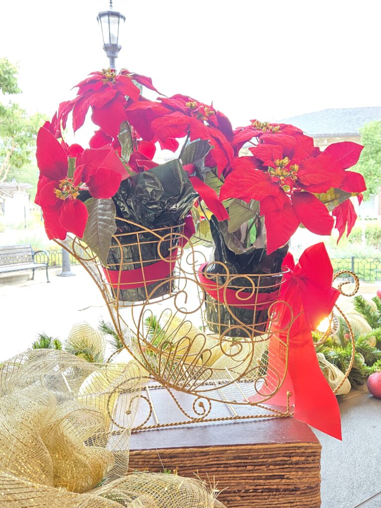 Picture of 2 Poinsettias in a sleigh